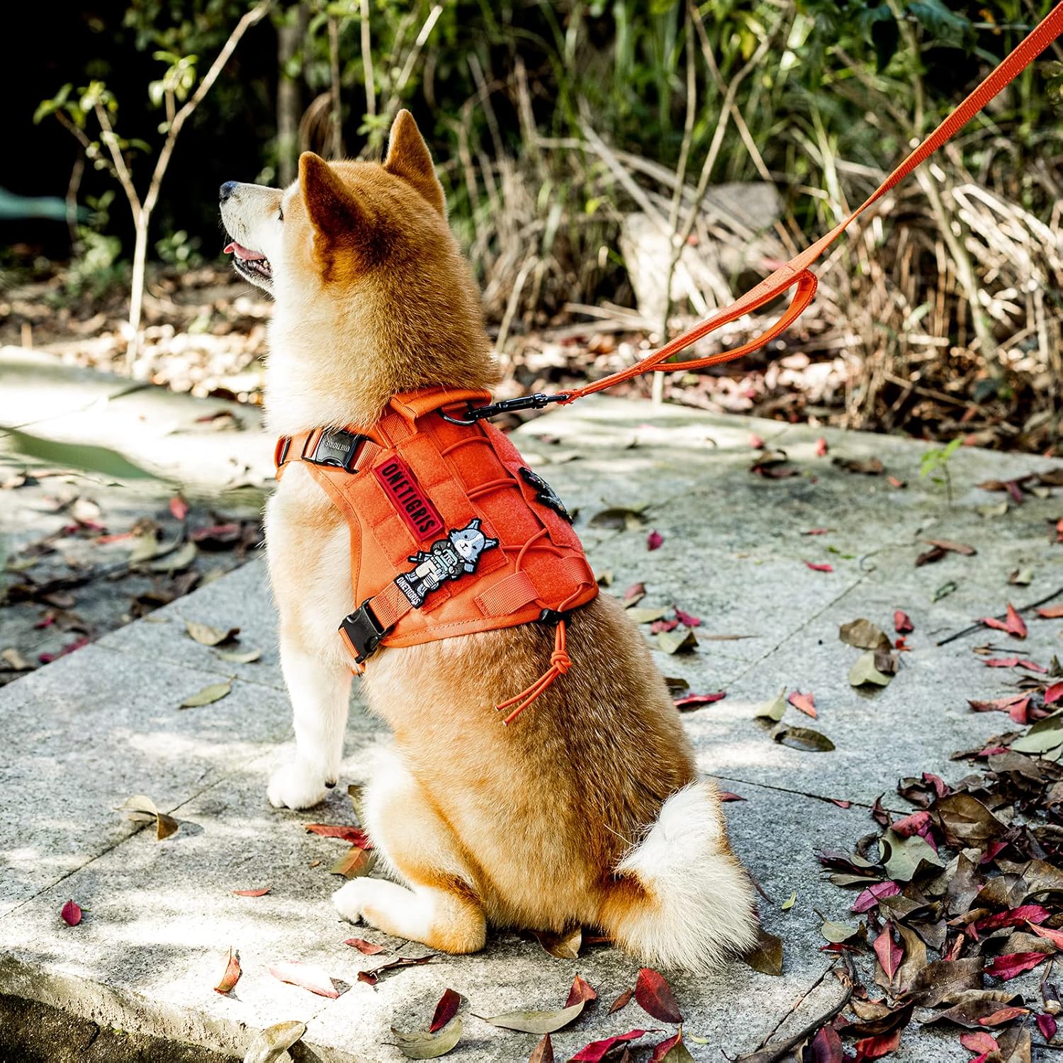 Detalle 2 de OneTigris Laisse pour chien sans tirage – 1,8 m, nylon 1000D, 2 poignées (orange)