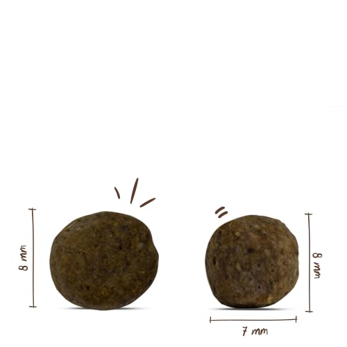 Detalle de Bosch HPC Mini Light Hundefutter trocken 2,5 kg – kalorienreduziert und ballaststoffreich
