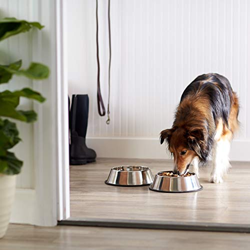 Detalle de Amazon Basics Ciotola per cani in acciaio inox – confezione da 2, 1000 ml