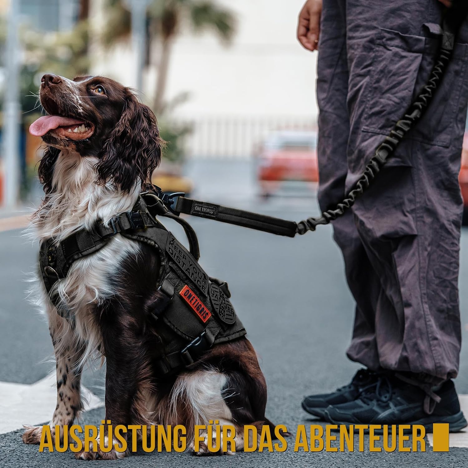 Detalle de OneTigris Laisse pour chien à ressort 86–120 cm en nylon avec clip tigre et double poignées – Noir