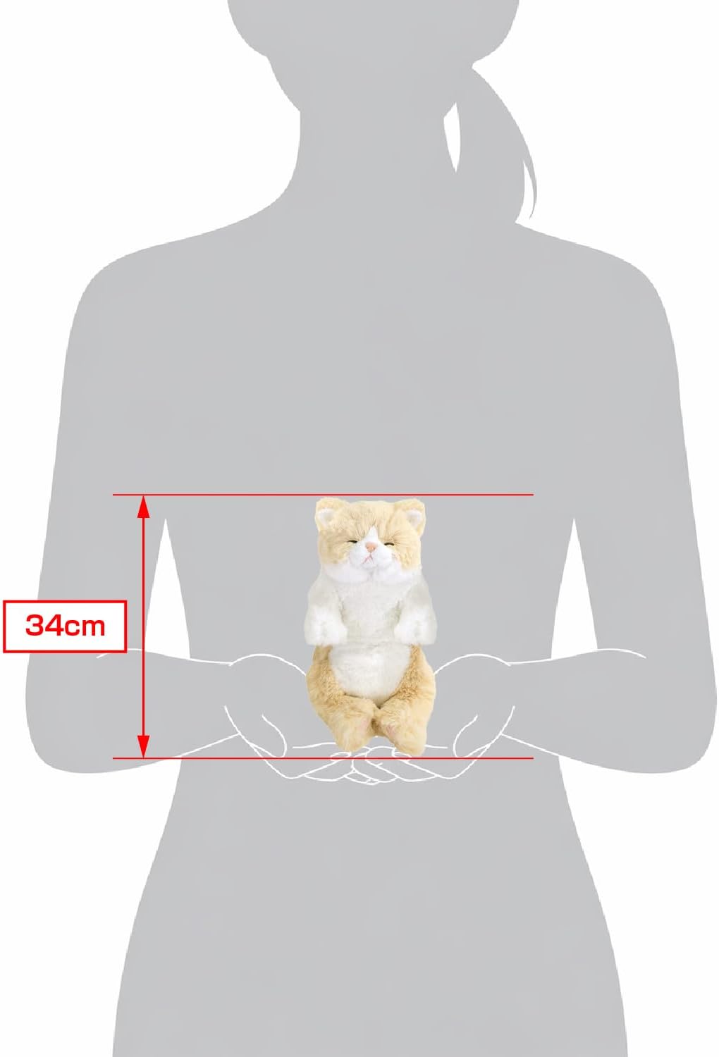 Thumbnail 2 de サンレモン ひざねこ すやすや S P-1383 クリーム ぬいぐるみ 15×18×34cm