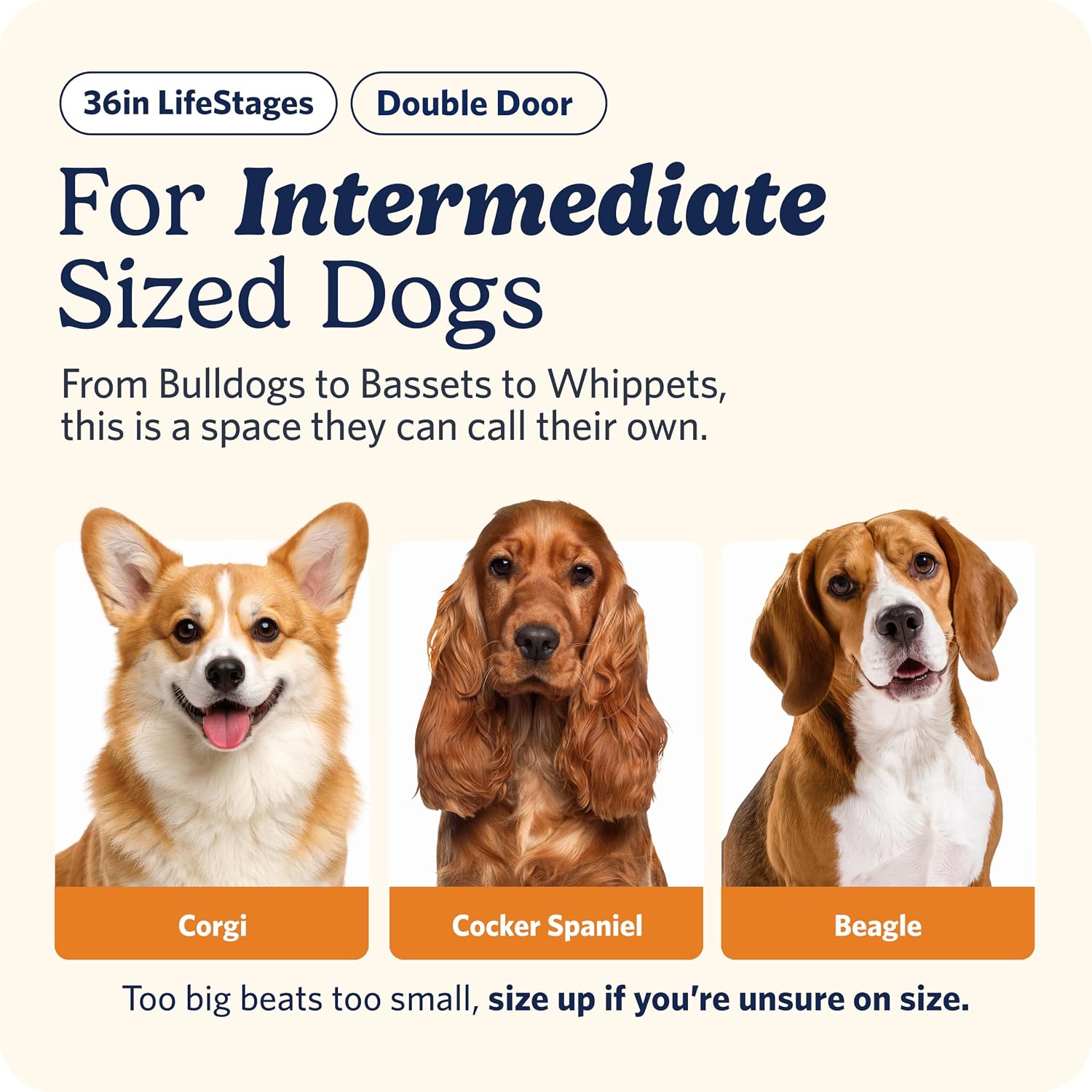 Detalle 2 de MidWest Homes for Pets 91 cm dog kennel