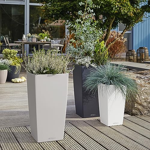 Thumbnail 6 de Lechuza Cubico Color macetero 30 litros blanco