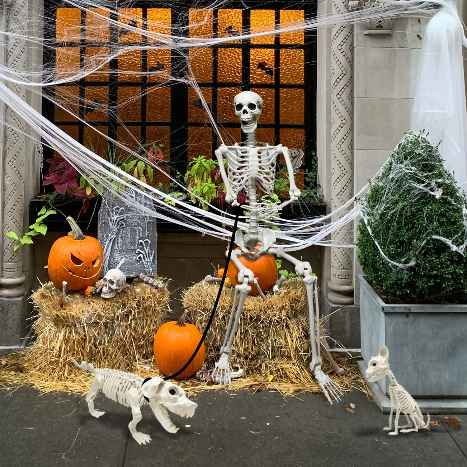 Detalle 2 de WODMAZ WSJGJ+SJG 5.4-Ft Posable Halloween Skeleton Set with Dog and Cat