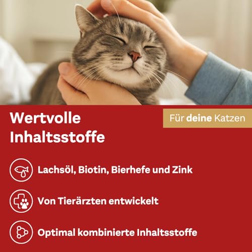 Detalle de Doppelherz Haut & Fell Complex für Katzen – Unterstützung für Hautgesundheit und Fellpflege