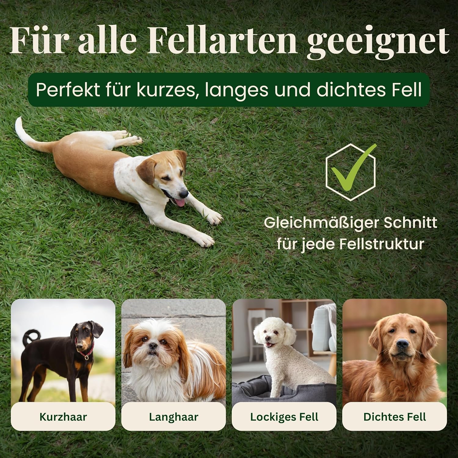 Thumbnail 3 de Alpenstern® Hundeschermaschine – leise Profi-Schermaschine für dichtes Fell