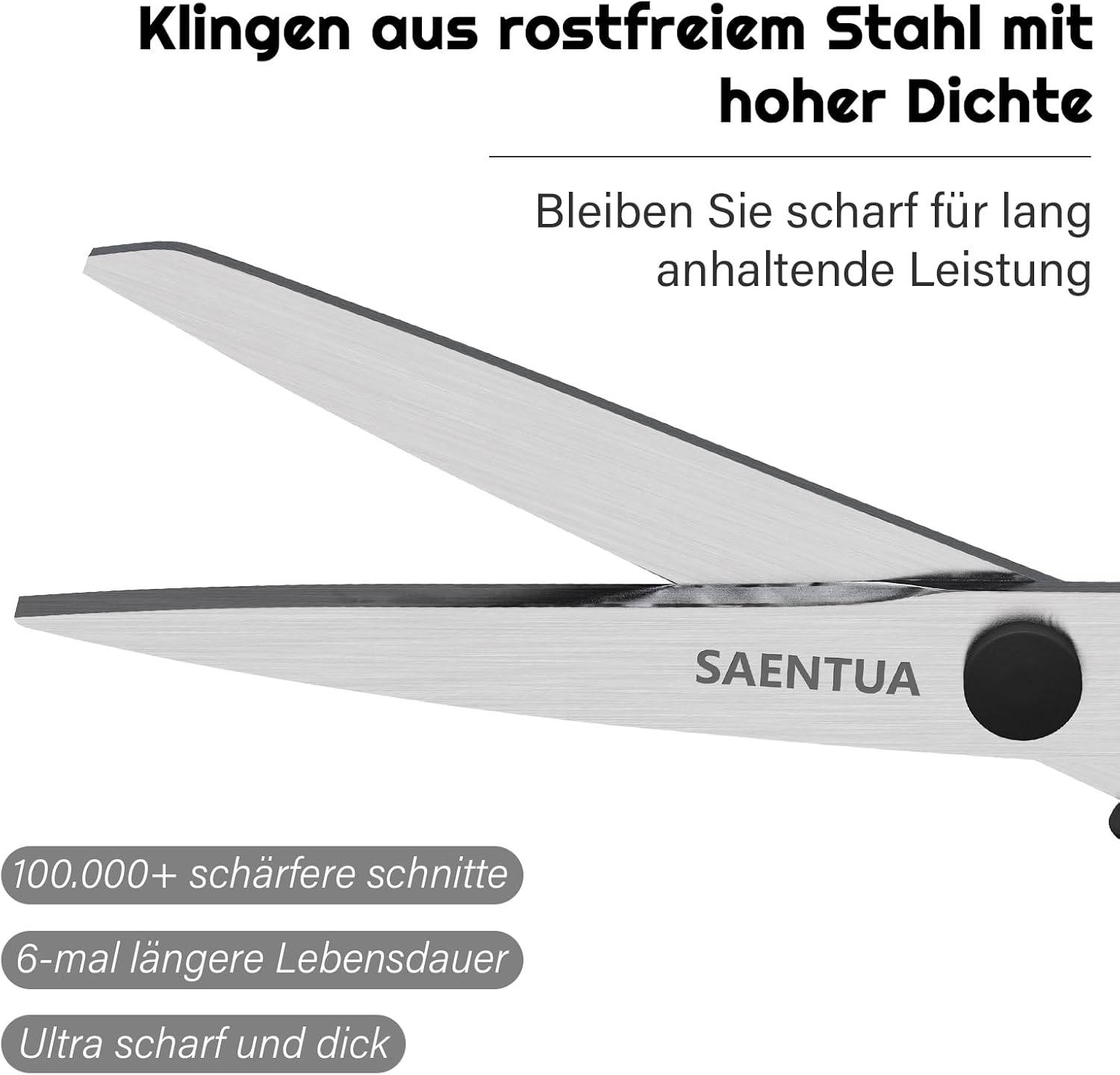 Detalle de Edelstahl Scheren Set (3-teilig) mit 21 cm Schere – ultrascharfe 2,5 mm Klingen, für Rechts- und Linkshänder