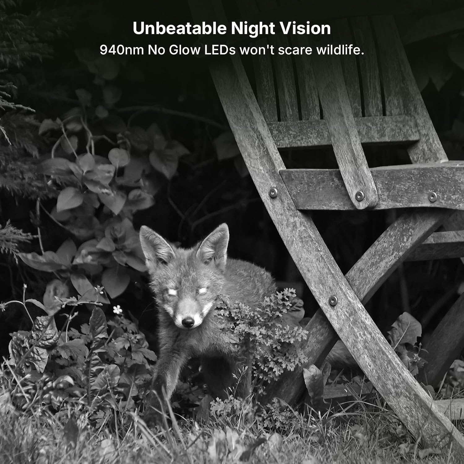 Thumbnail 5 de GardePro E8 2.0 Pro Trail Camera, 4K Video, Wi-Fi 6, Dual Antennas