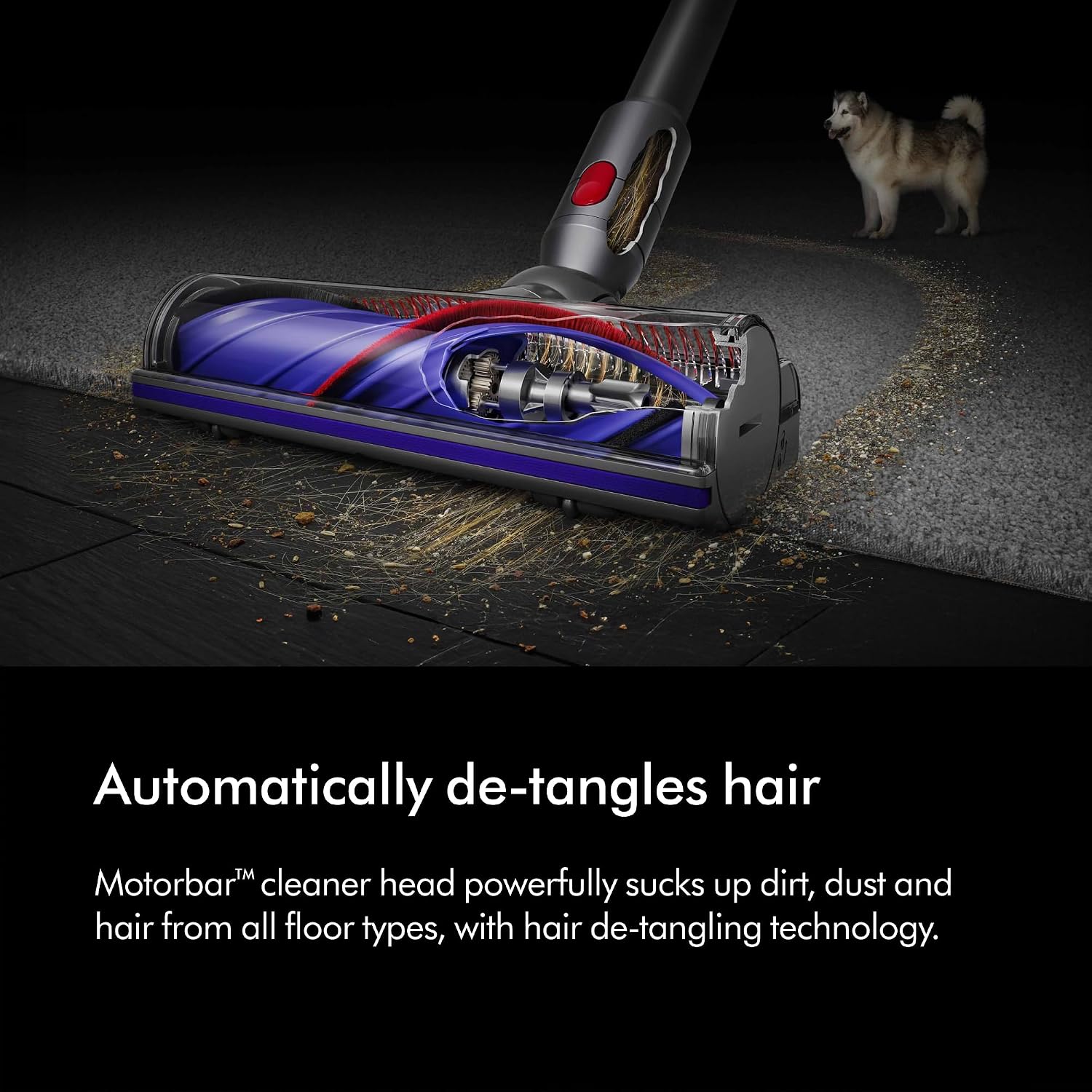 Detalle de Dyson V8 Absolute cordless vacuum