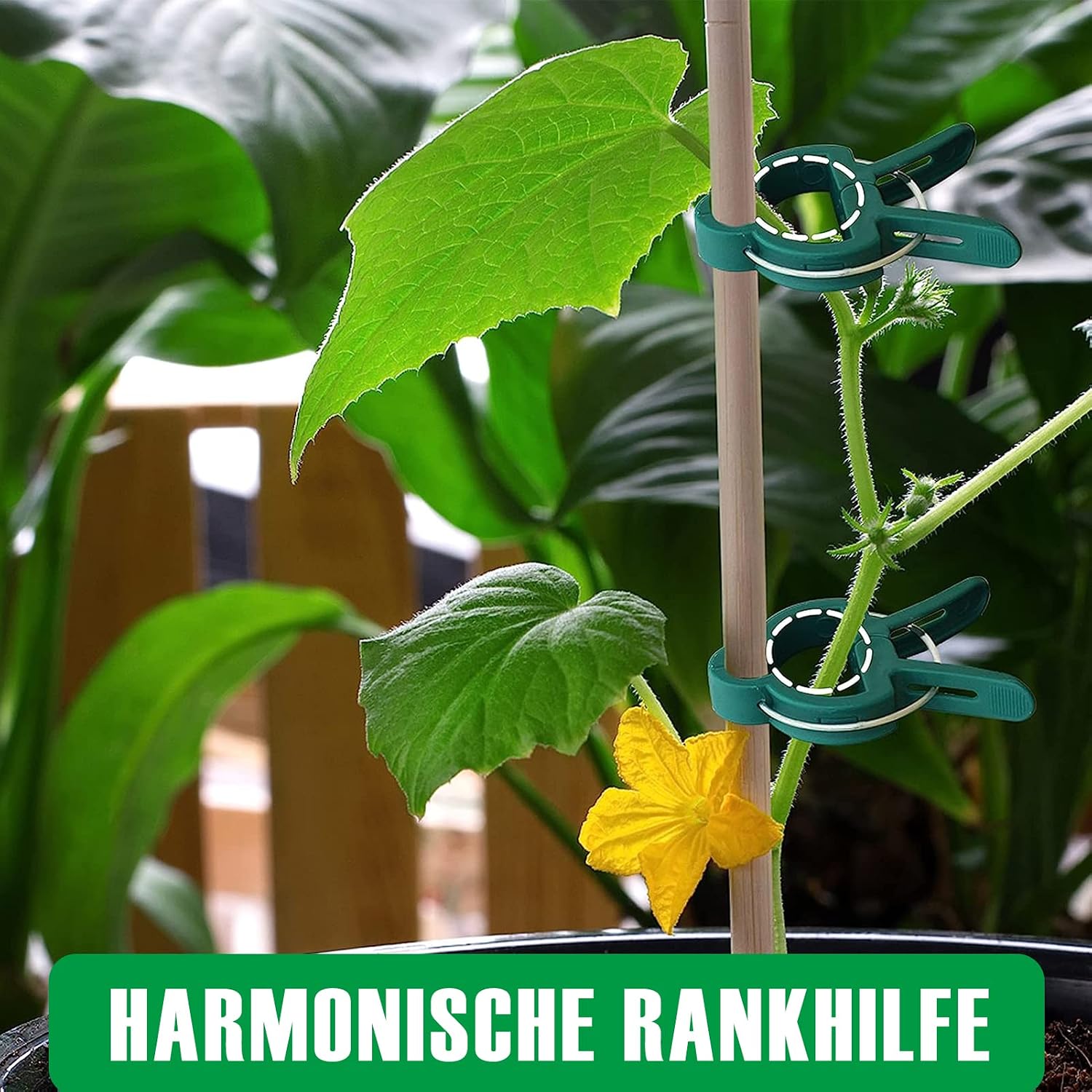 Detalle de Miuezuth 48 Stück Pflanzenclips – Stabile Rankhilfe für Tomaten, Gurken, Kletterrosen und andere Rankpflanzen (24 große + 24 kleine)