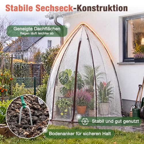 Detalle de Sekey Winterschutz Gewächshaus 180×160×160 cm – robustes Foliengewächshaus für Garten und Balkon