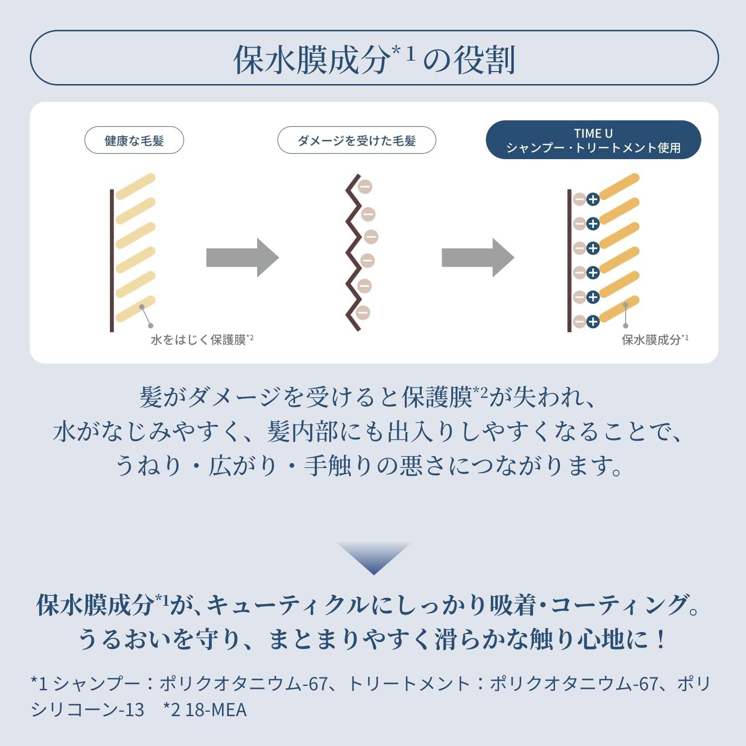 Detalle 1 de タイムユー キープモイスト シャンプー詰め替え用 300ml アミノ酸系洗浄成分・クリアフルールの香り
