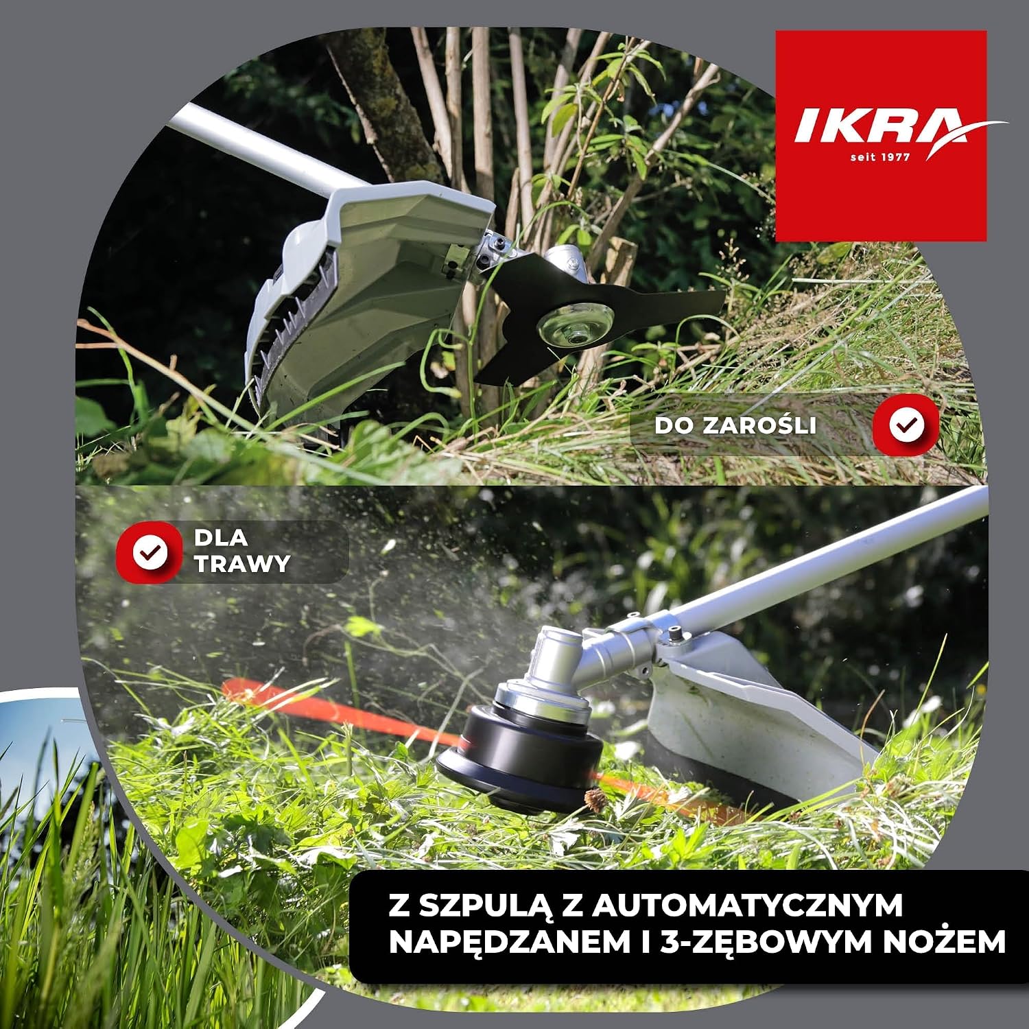 Detalle 2 de IKRA IBF 4342 kosa spalinowa 2-suwowa, 42,7 cm³ i 1,25 kW