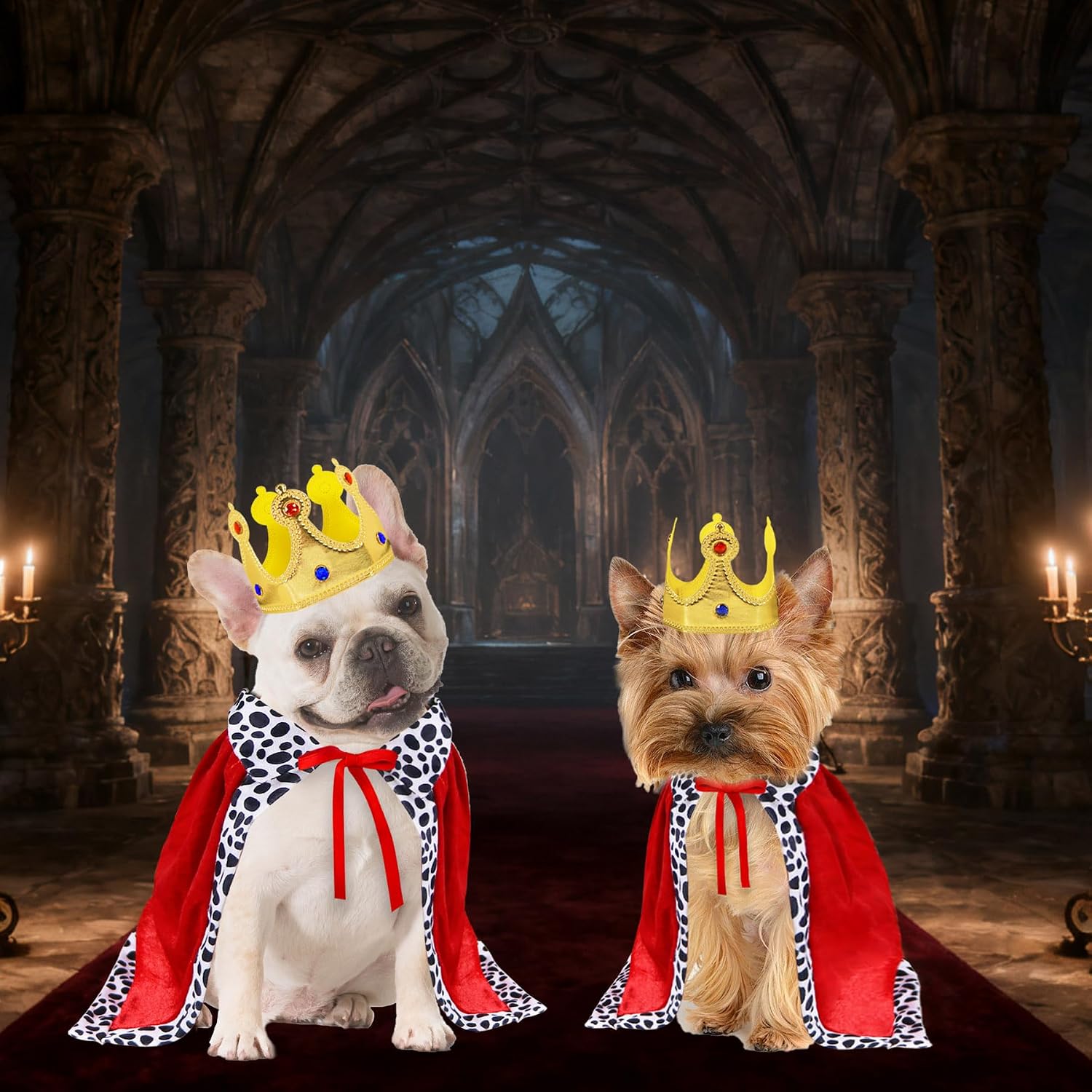 Thumbnail 5 de GOYOSWA Dog King Costume, Small