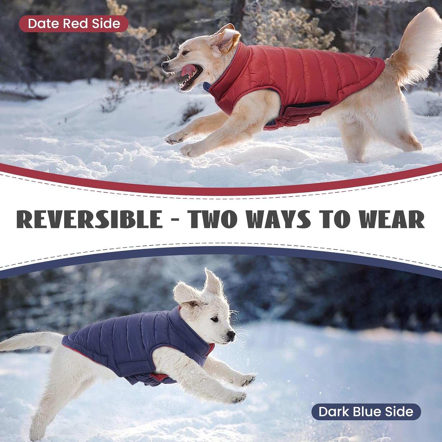Thumbnail 4 de LeLePet Lelepet dog winter coat XS