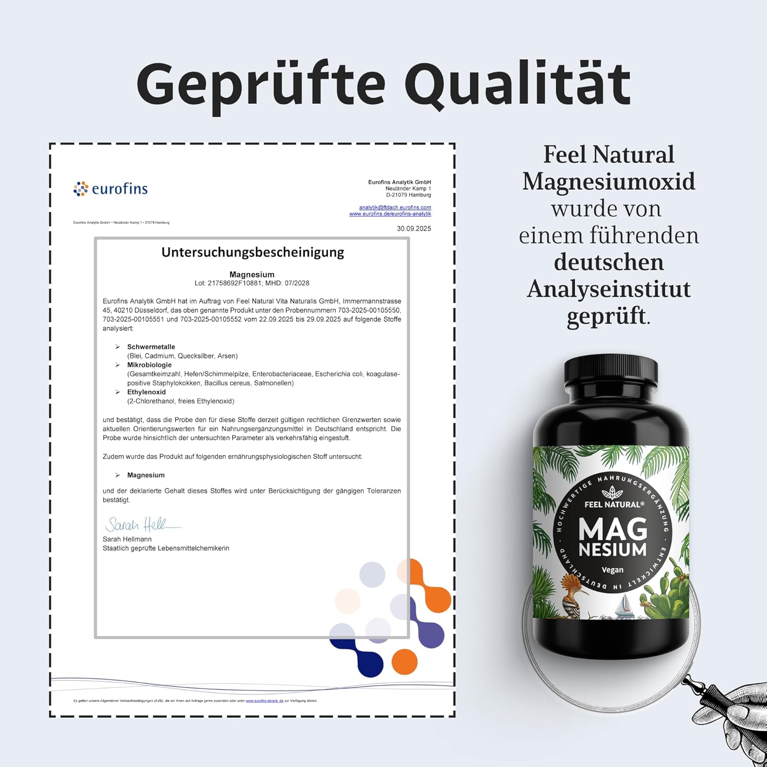 Thumbnail 4 de Magnesium hochdosiert Kapseln 365 Stück – 664 mg je Kapsel 💊