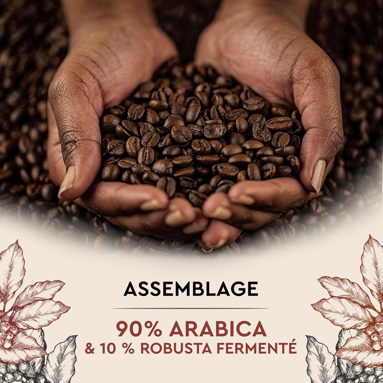 Detalle 2 de CARTE NOIRE 100 capsules de café