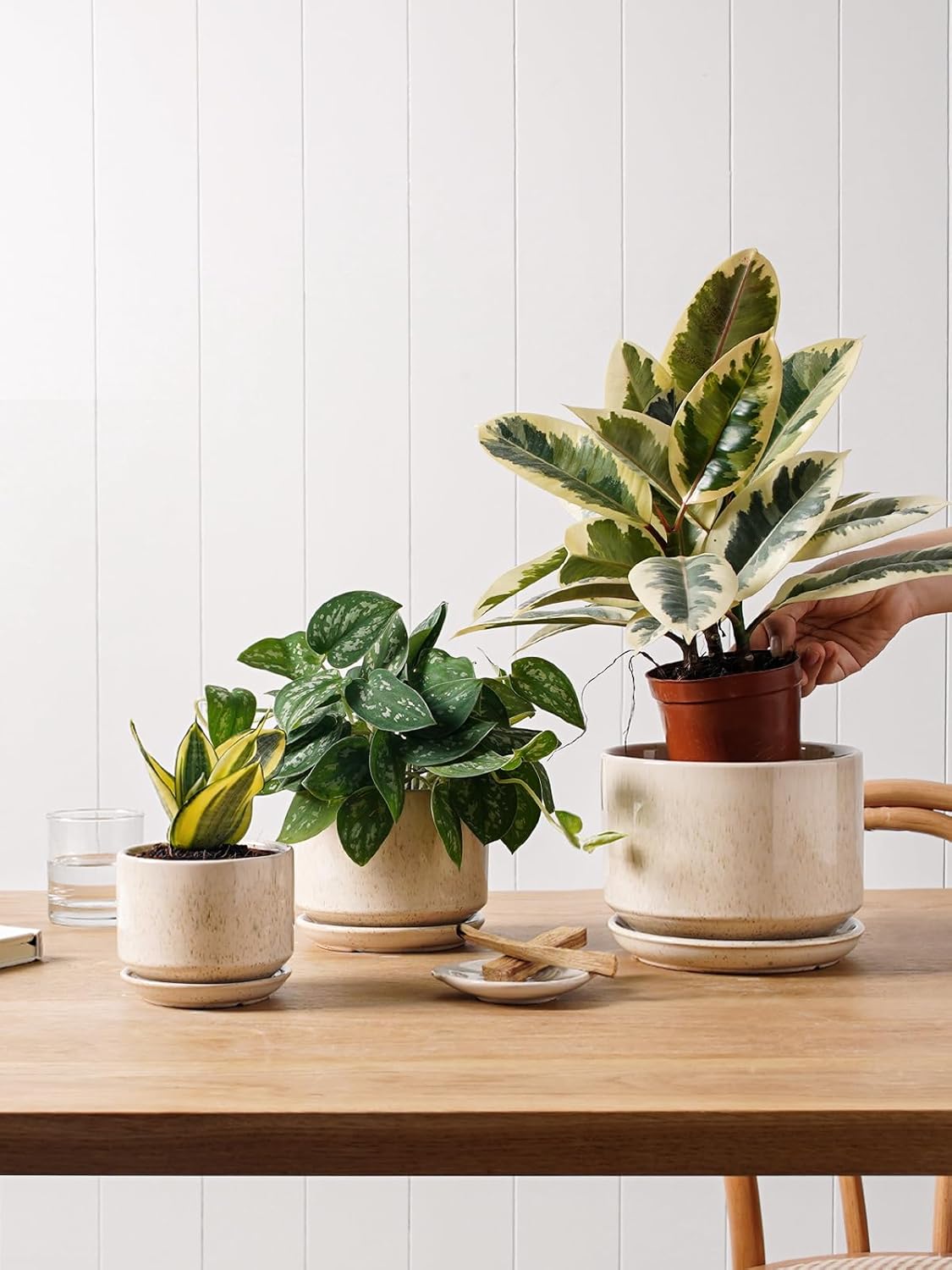Detalle 2 de LE TAUCI ceramic plant pots set of 3 (11, 13 & 17 cm) with drainage hole and saucer in reactive glaze beige