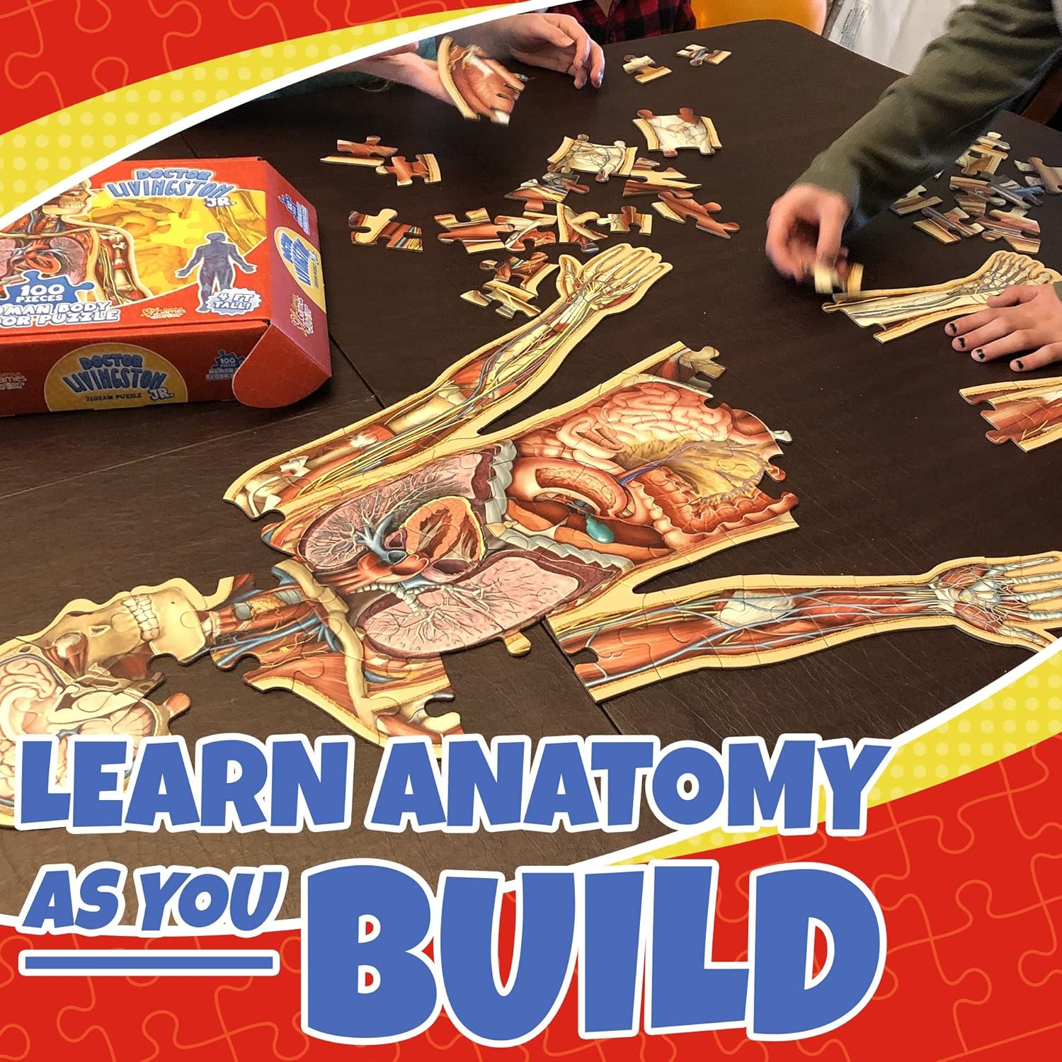 Thumbnail 6 de Human Anatomy Kids Floor Puzzle by Dr Livingston Jr: 100-Piece Full Body Jigsaw for Ages 6-10