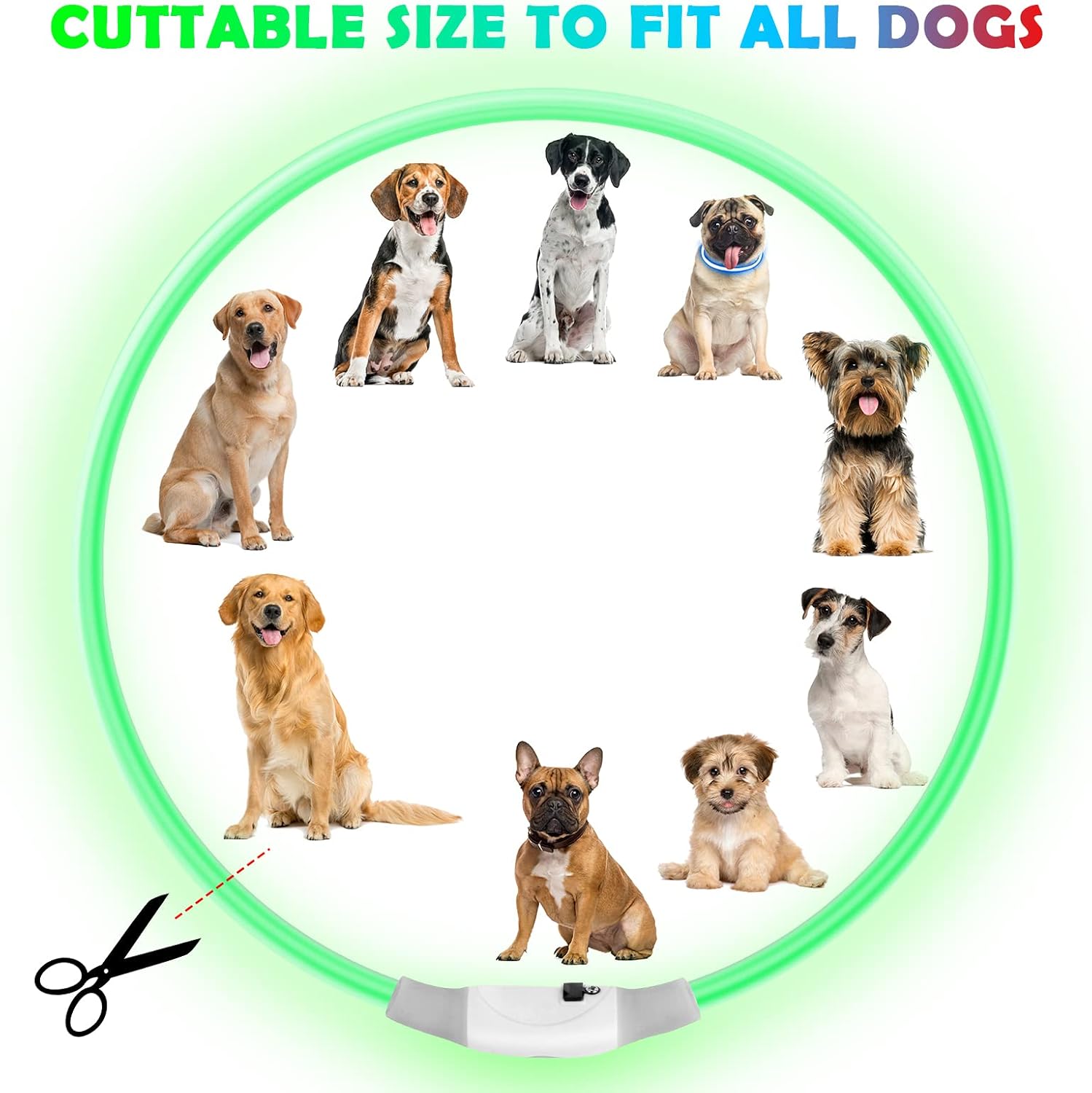 Detalle de AUAUY collare luminoso LED per cani 70 cm