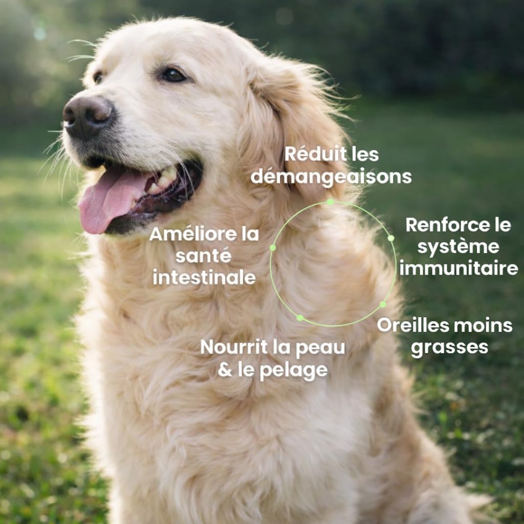 Thumbnail 2 de Bailey & buddies Probiotiques Chiens Digestión & Système Immunitaire – Compléments Premium (300g)