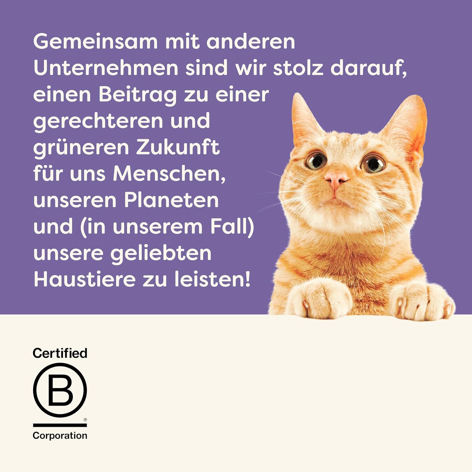 Thumbnail 6 de Applaws 100% natürlicher, getreidefreier cremiger Katzensnack – 32 Beutel (4×8×15 g) mit Thunfisch, Lachs und Hähnchen