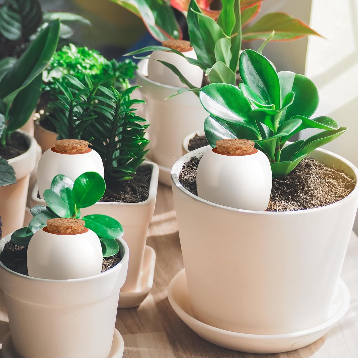 Detalle de Terracotta Watering Spikes 4 Pack Ollas Self Watering Globes – slow release planter insert for indoor & outdoor plants