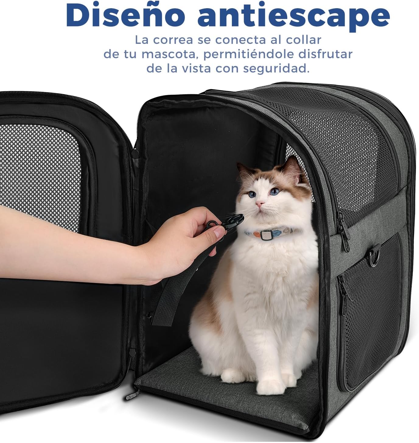 Detalle de APOLLO WALKER Mochila mascotas 5–12 kg