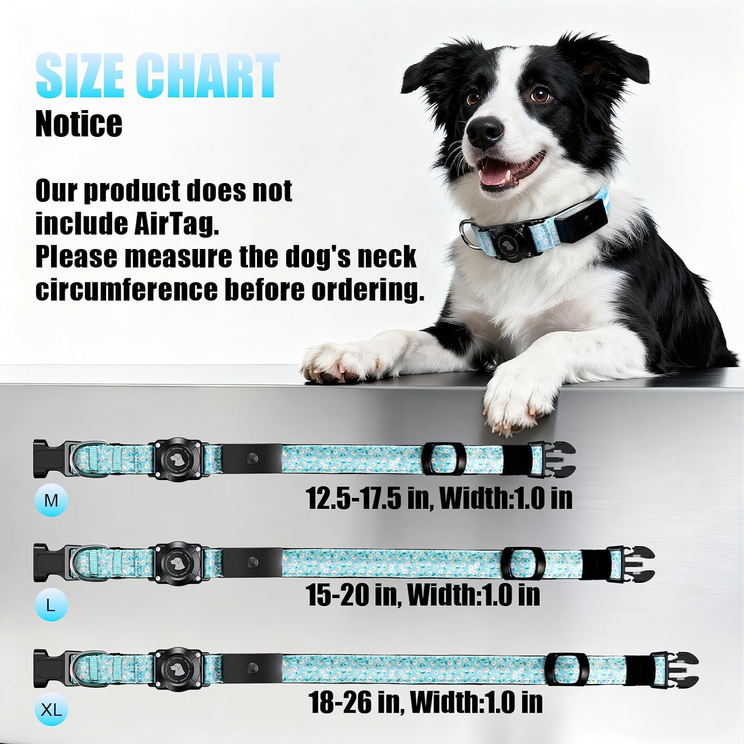 Thumbnail 6 de Zowpet LED Dog Collar, XL