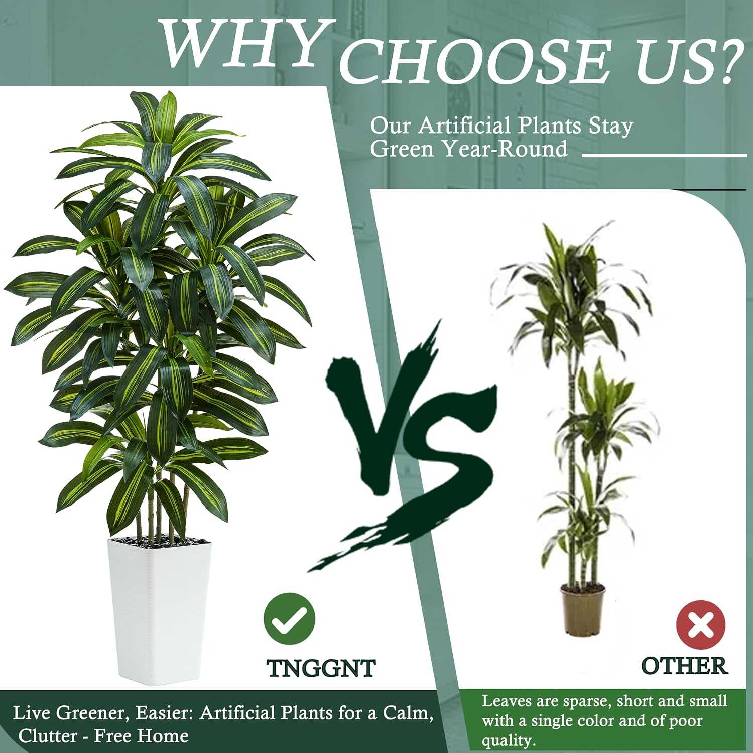 Thumbnail 4 de TNGGNT Dracaena Tree 5FT artificial plant