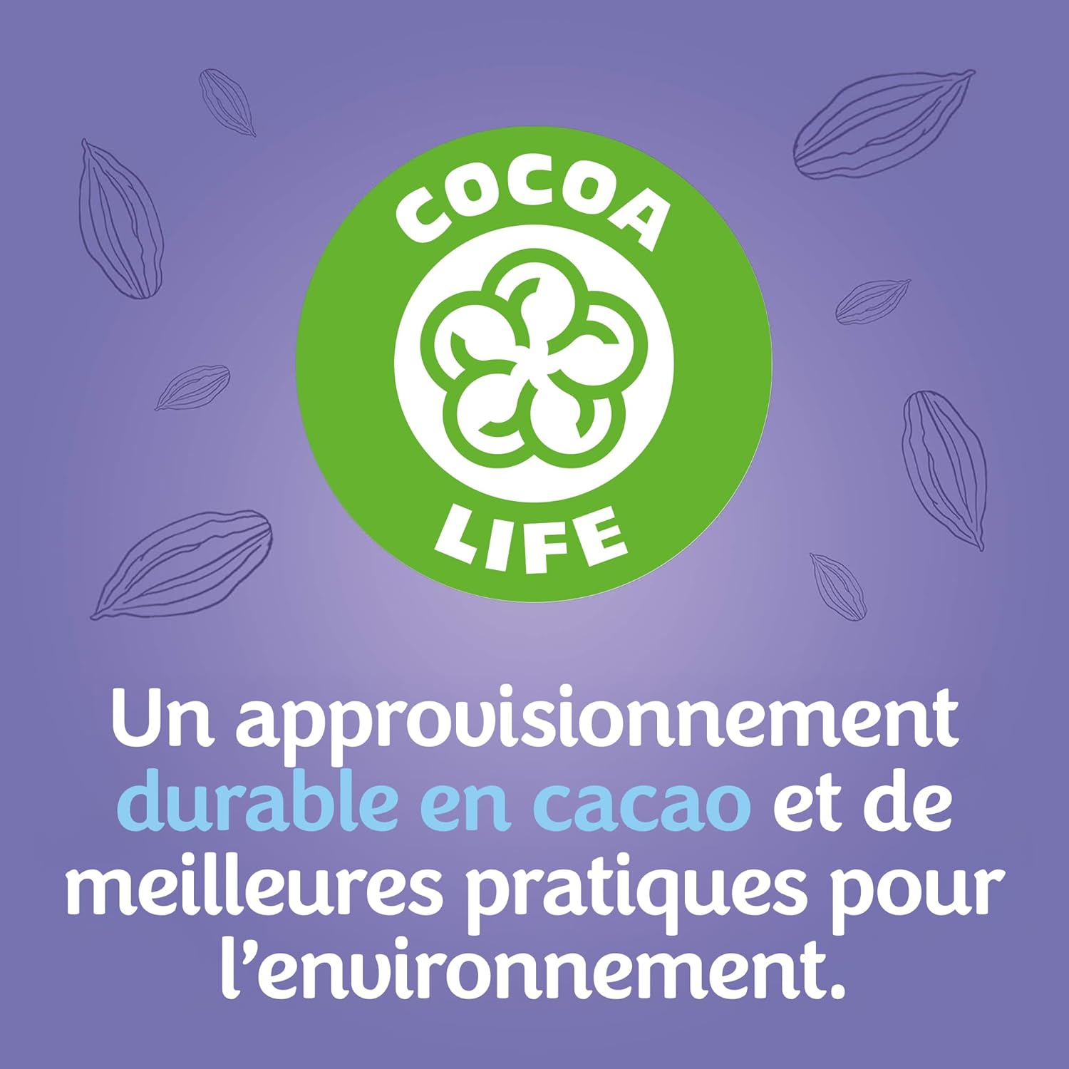 Thumbnail 6 de Milka Choco Moo - Biscuit nappé au chocolat au lait, Présentoir 24 paquets (40 g chacun)