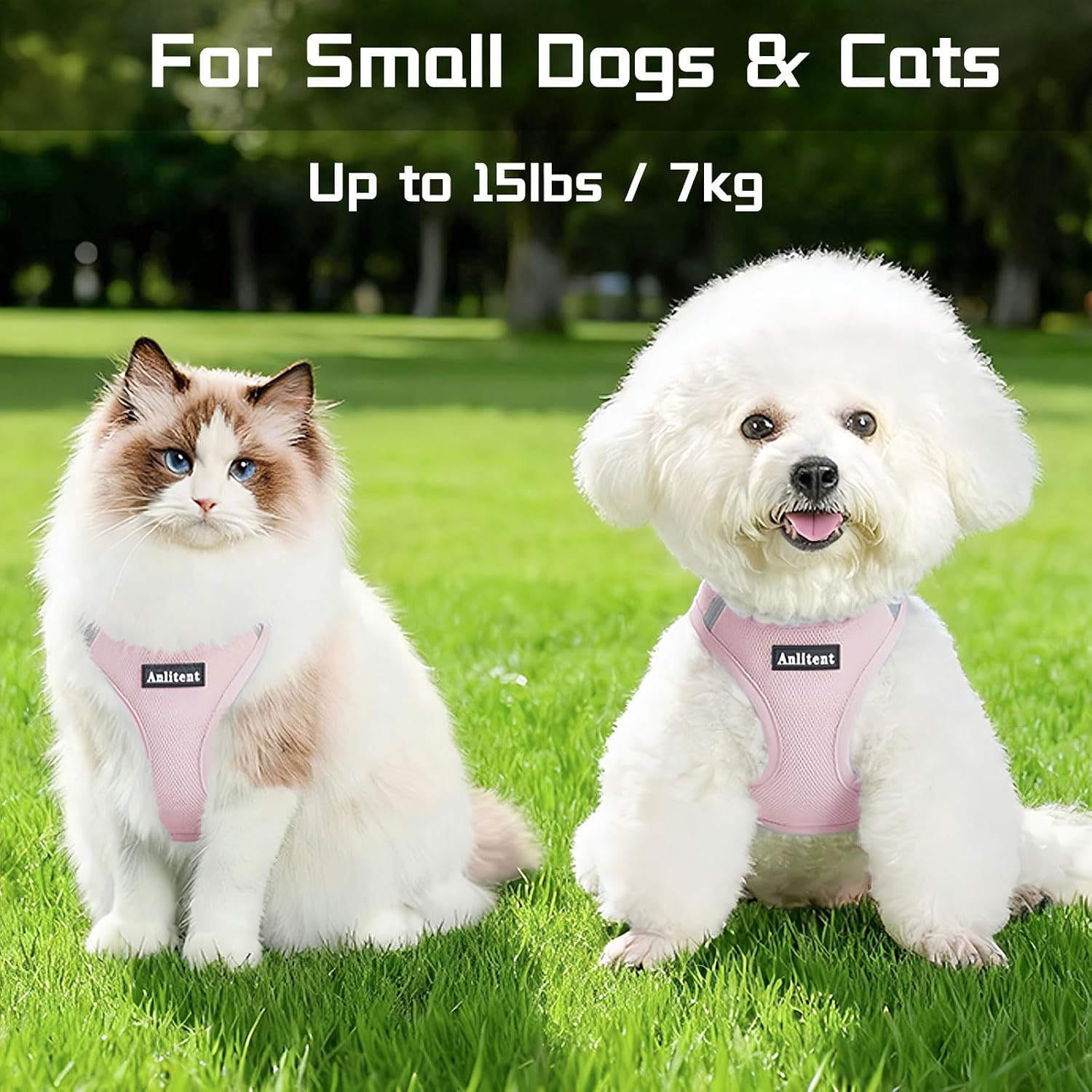 Detalle de Anlitent No Pull Dog Harness M, breathable mesh
