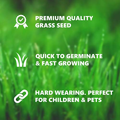 Thumbnail 2 de Grow Pure Grass Seed (1kg) — Quick Patch and New Lawn Solution, UK Climate