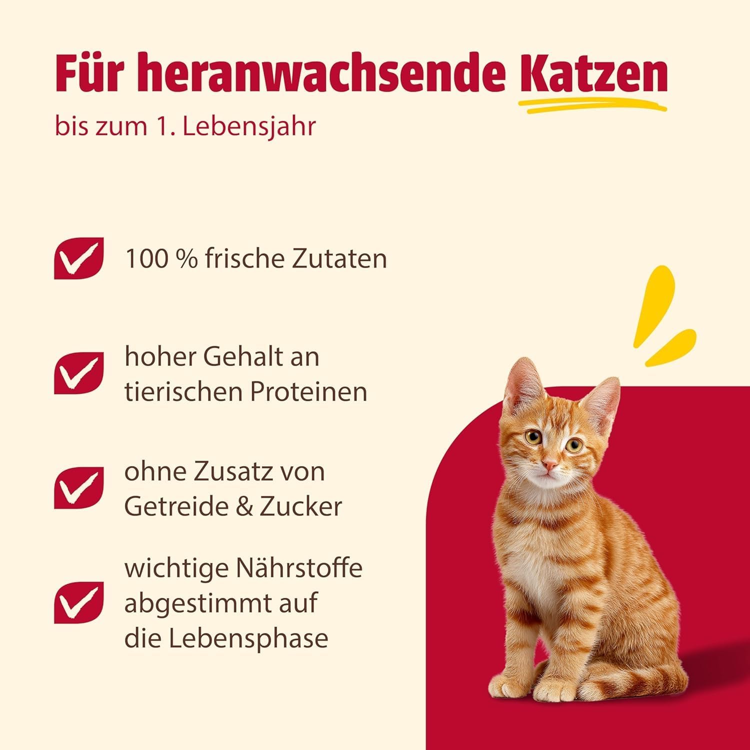 Detalle de animonda Carny Adult Kitten Nassfutter Geflügel + Rind (12 x 400 g) – ausgewogene Mahlzeiten ohne Zucker und Getreide