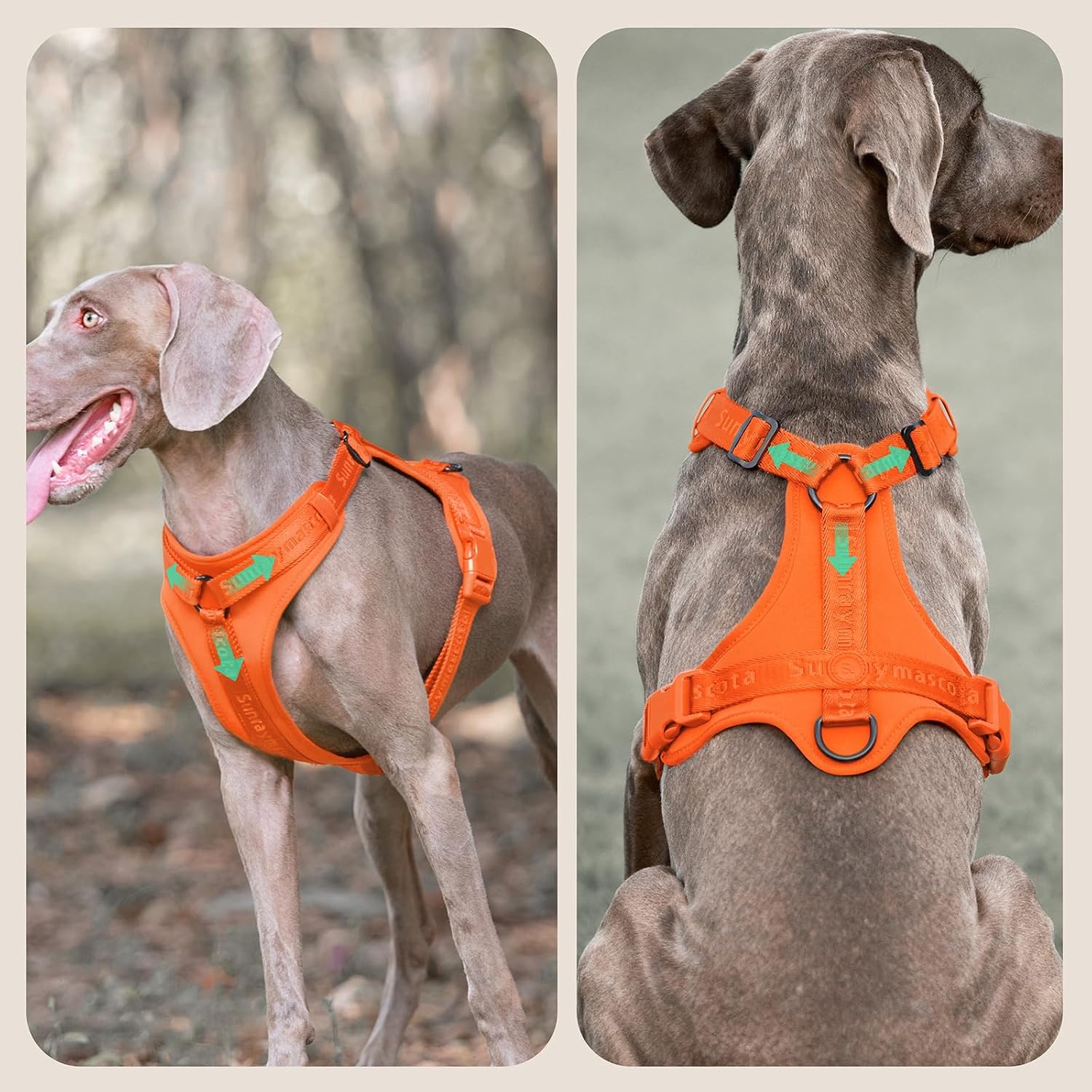 Detalle de Sunraymascota Pettorina per cani con imbottitura in lycra – traspirante, regolabile e sicura