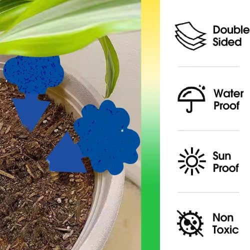 Detalle de Cleanuper Blue 100pcs 20260626 Sticky Gnat Traps, Blue, 100 Pack