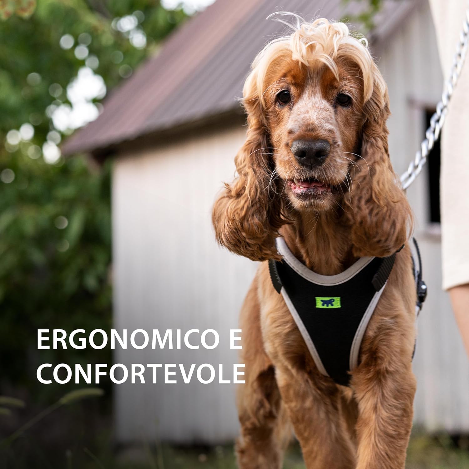 Detalle 1 de Ferplast ERGOCOMFORT Pettorina per cane Extra Large 🐕