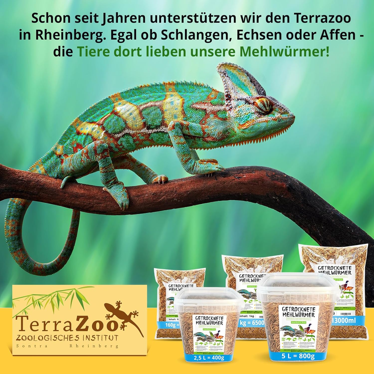 Thumbnail 4 de Mehlwürmer getrocknet, 1 kg – proteinreicher Snack für Wildvögel, Fische, Reptilien, Schildkröten und Igel