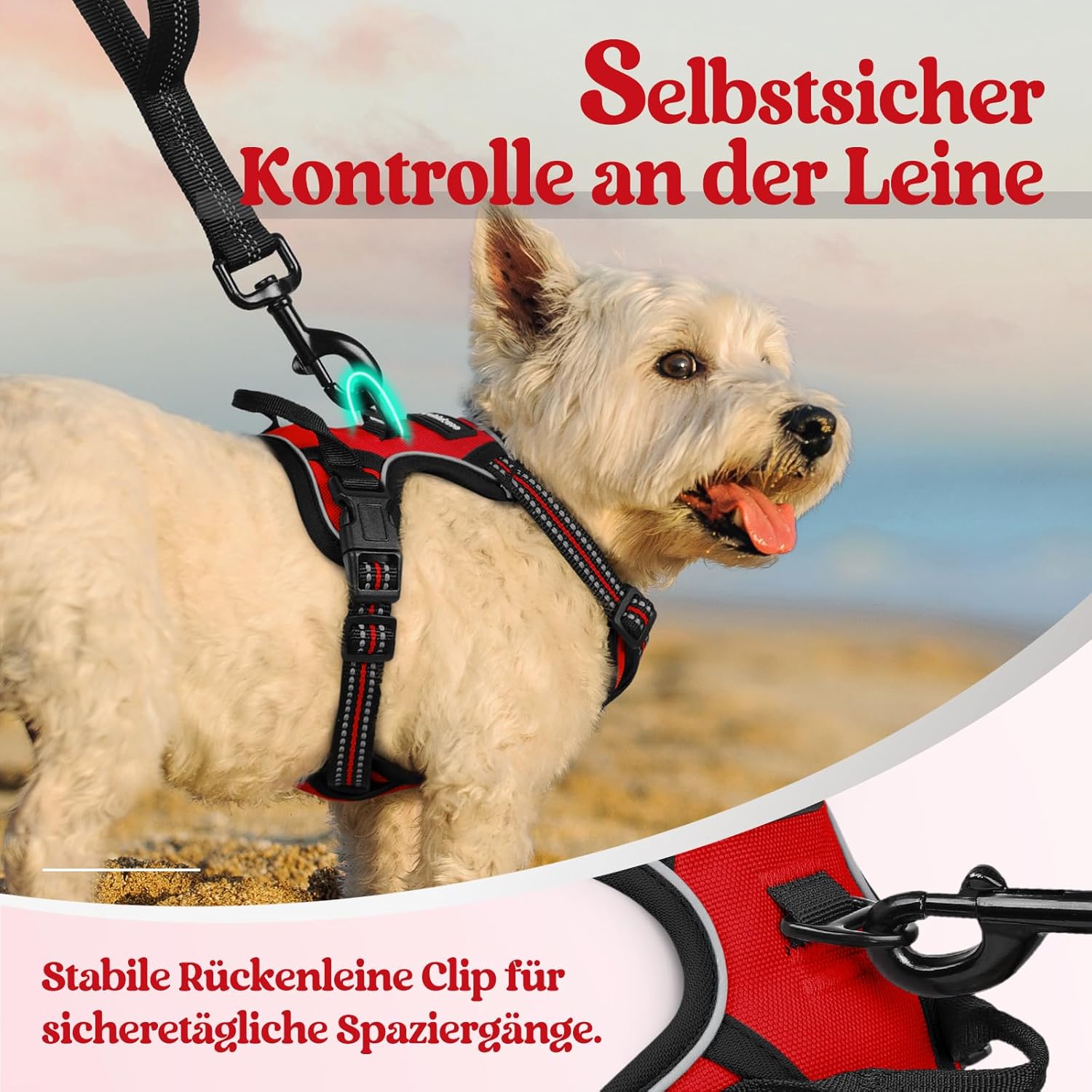 Thumbnail 6 de Rabbitgoo Hundegeschirr XS – Anti Zug, verstellbar & atmungsaktiv für Kleine Hunde