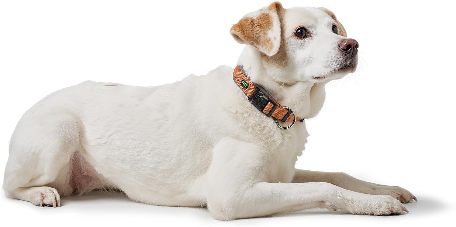 Detalle 2 de Hunter Hundehalsung NEOPREN Vario Plus – Größe M/2,0 cm, Kupfer/Grau