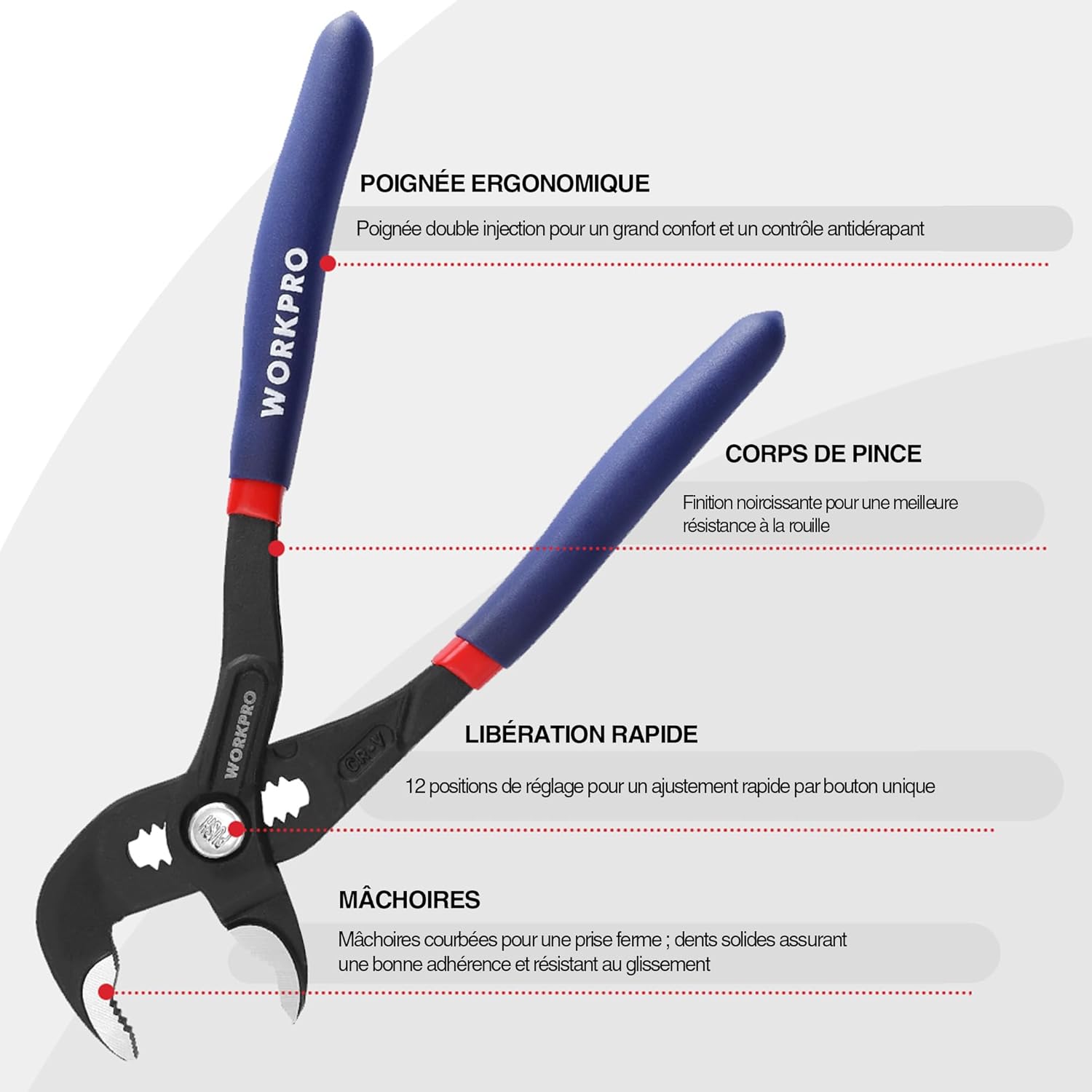Thumbnail 2 de WORKPRO Pinces pompe eau 180/250 mm