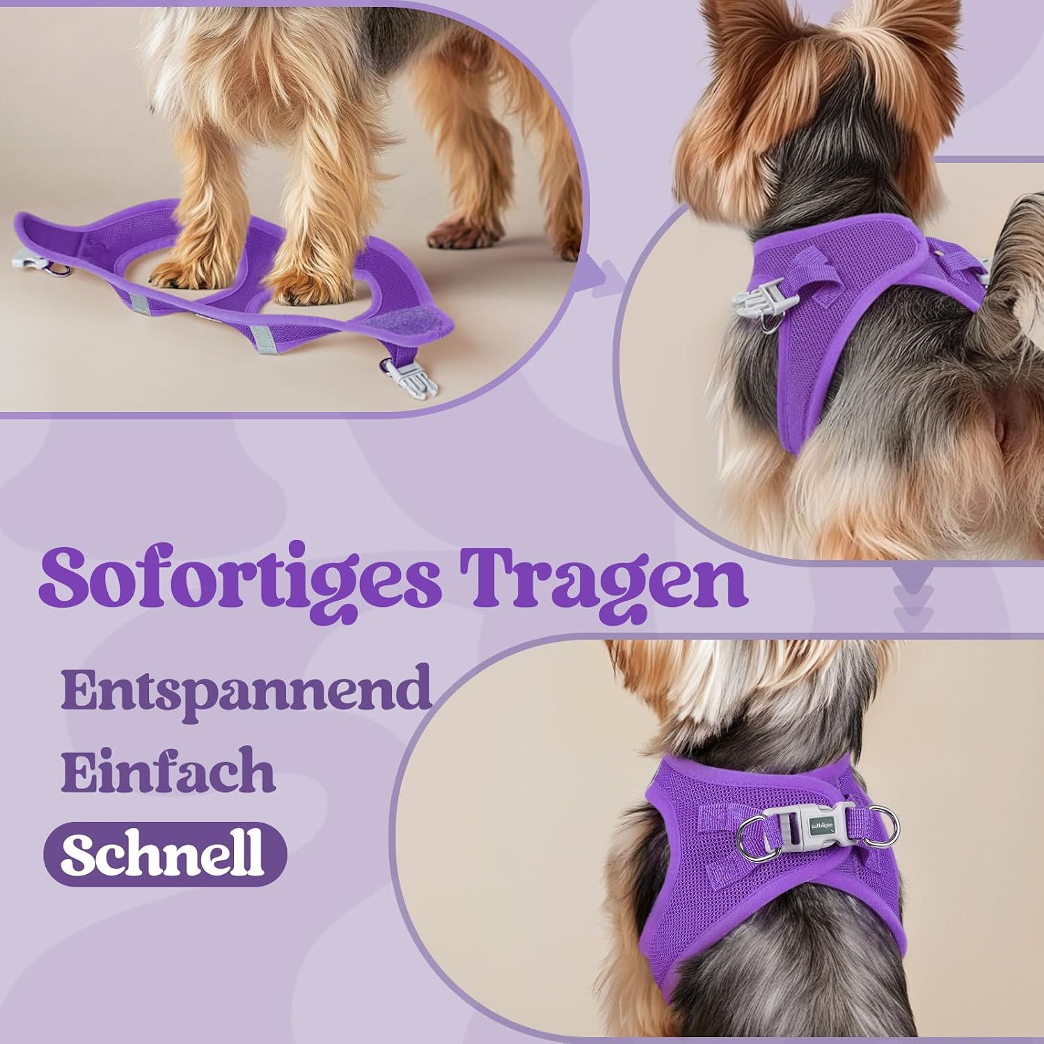 Detalle de rabbitgoo Hundegeschirr Kleine Hunde XS – Schritt-in Mesh-Geschirr mit Reflektivität (Lila)