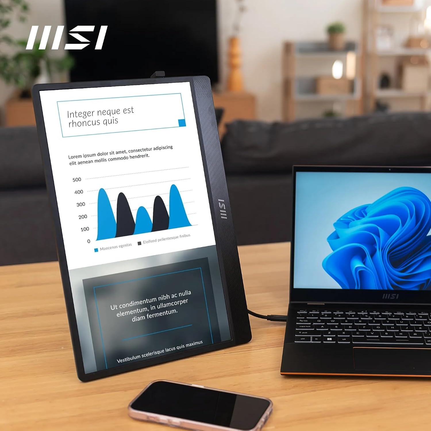 Thumbnail 5 de MSI PRO MP161 E2 15.6in Portable Monitor