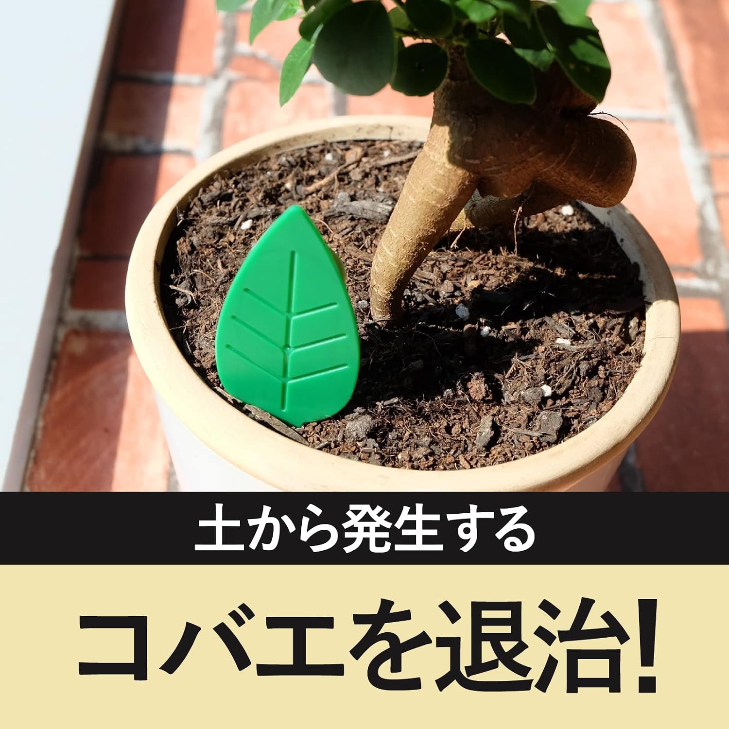Thumbnail 1 de アースガーデン 土からわいたコバエ退治 土に挿す粘着剤タイプ 12個入