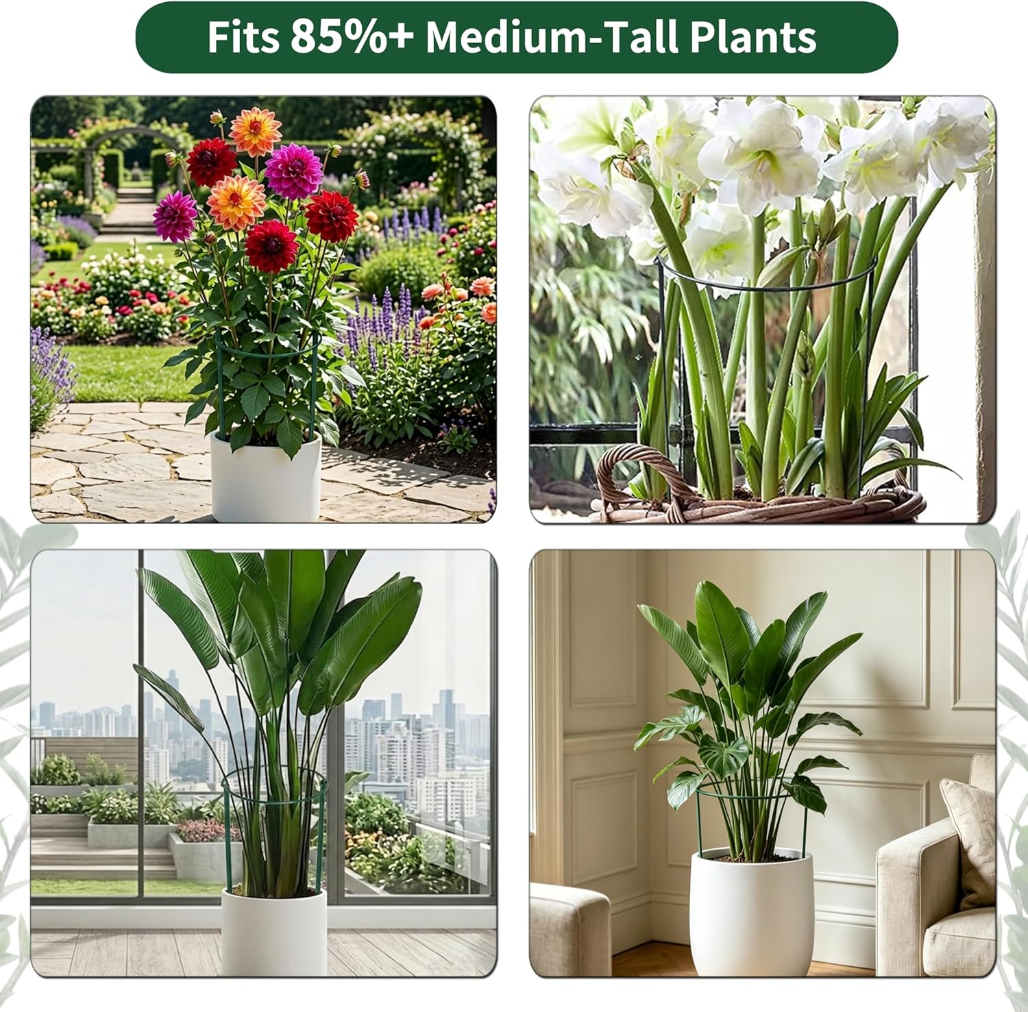 Thumbnail 5 de 10pcs 25x60cm Plant Supports: Thicker 4mm Garden Stakes for Tall Perennials (Green, Weatherproof)