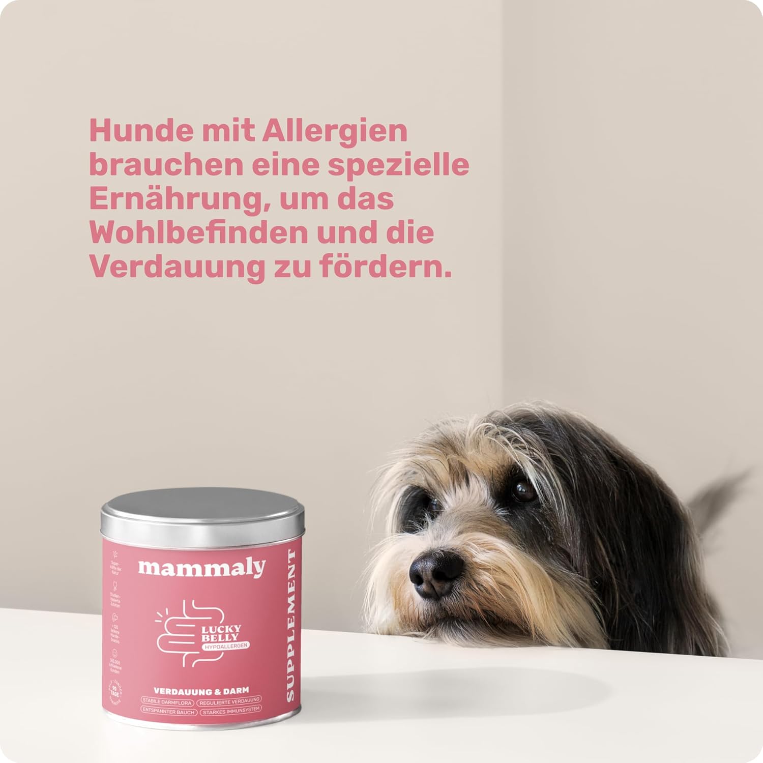 Detalle de 9‑in‑1 Probiotika für Deinen Hund – Lucky Belly von mammaly, Hypoallergen, ohne Huhn, 120 Drops (350 g)