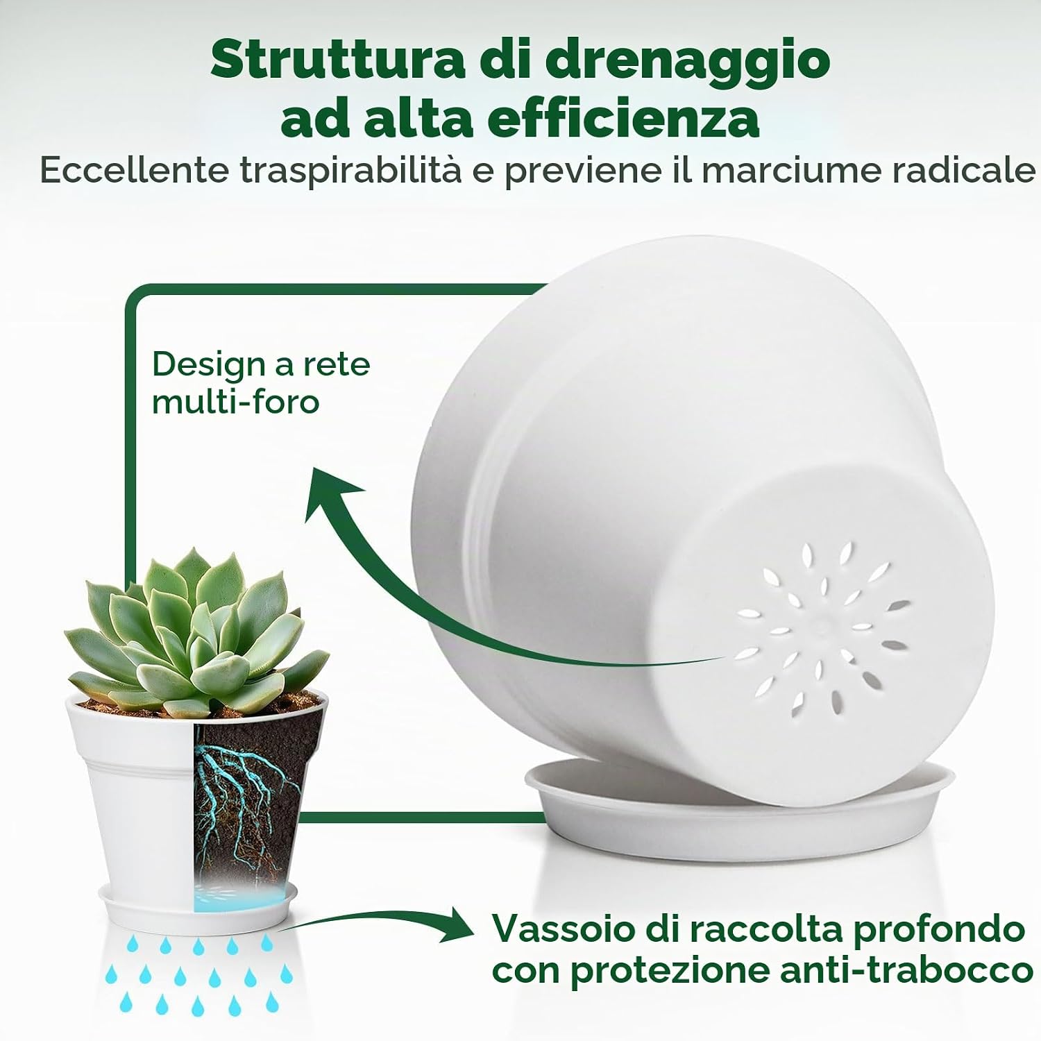 Detalle de T4U Vaso da Interno 19 cm Set 6 con Sottovaso Possono Essere Utilizzati per Piante e Orchidee