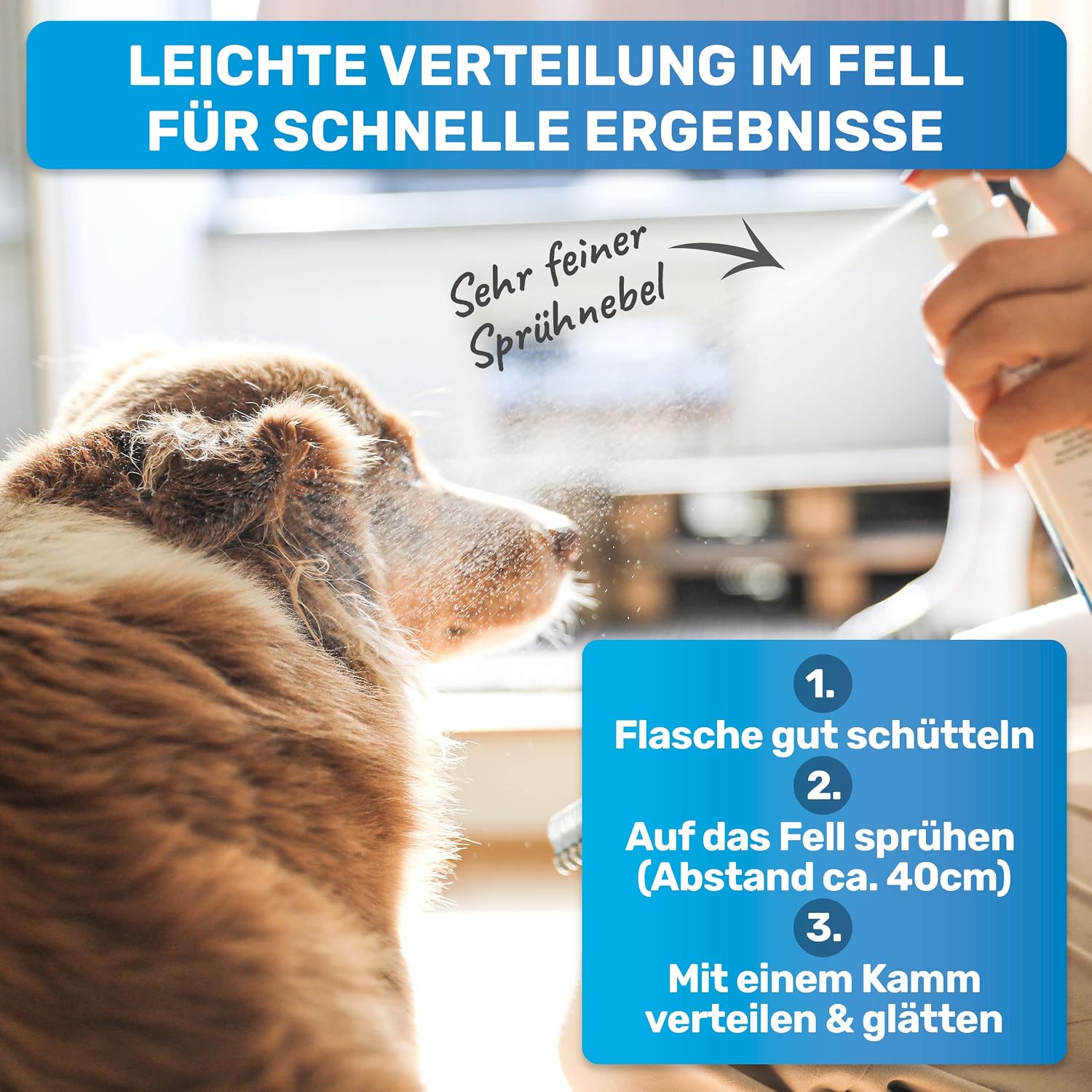 Detalle 2 de BluePet 200 ml Entfilzungsspray für Hunde & Katzen 🐾