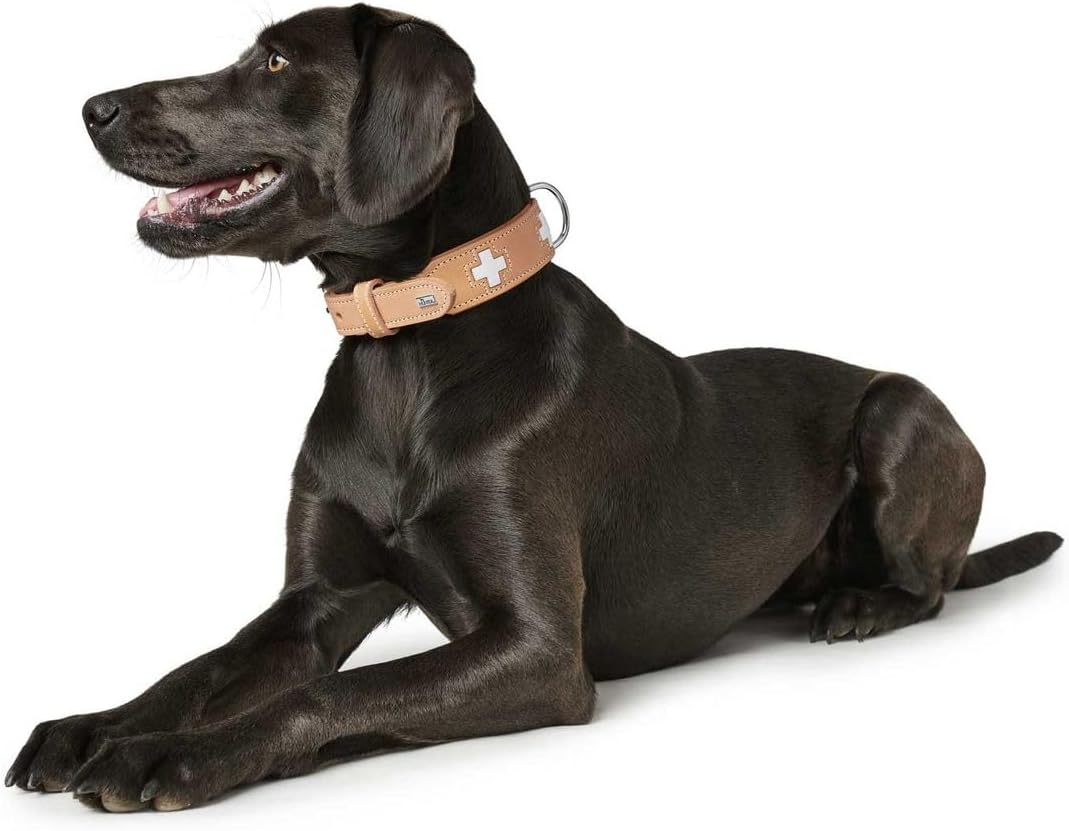 Detalle 2 de HUNTER Swiss Hundehalsband aus hochwertigem Rindleder, natur/beige, 50 – handgenäht