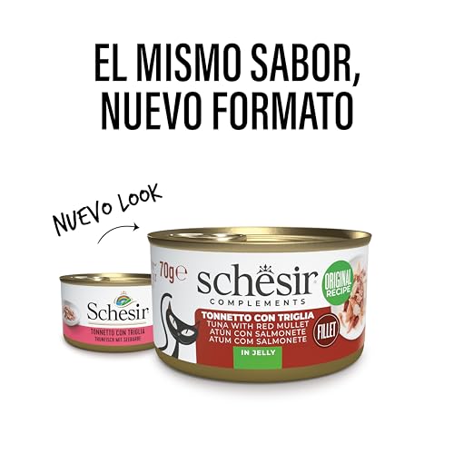 Detalle 2 de Schesir Filetes de Atún y Calabaza, 12×70 g 🐱